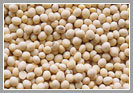 Soyabean Seeds